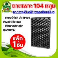 ถาดเพาะ ขนาด104 หลุม  , ถาดเพาะกล้า , เพาะต้นกล้า ,นำกลับมาใช้ใหม่ได้ ตัวถาดผลิตจากพลาสติกคุณภาพที่ทนทานต่อการกัดกร่อนและความเปียกชื้น