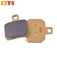 Rear Brake Pads For DUCATI 959 Panigale ABS 2016-2018 Corse 998 Panigale V4 Superleggera 1103 Panigale V4 S 2018 2019 2020 2021