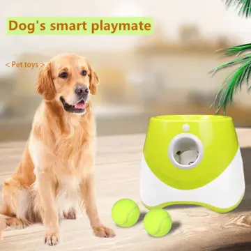 Automatic dog ball deals fetcher