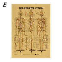 dongchigai สง่างามกระดูกสันหลังคอลัมน์แผนภูมิโปสเตอร์มนุษย์กายวิภาคศาสตร์เข่าโปสเตอร์ผนังศิลปะตกแต่งบ้าน