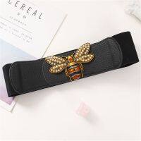 Designer Belts Women High Quality Designer Elastic Belts Women - Designer High - Aliexpress