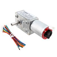 GW4632 DC Worm Gear Reducer Motor Magnetic Hall Encoder Self-Locking 1224V 11PPR Smart Home Motor