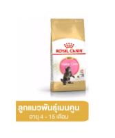 Royal Canin Kitten Maine Coon 10 Kg โรยัลคานิน สูตรสำหรับลูกแมวพันธุ์เมนคูน