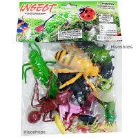 Insect โมเดลแมลง รวมแมลงหลายรุ่นหลายชนิด สีสันสวยงาม sizeใหญ่