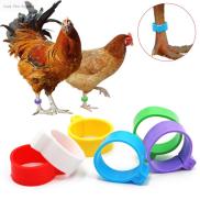 GUDY 100 Pcs Label Buckle Without Text For Poultry Pigeon Bands Animal
