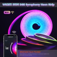 Tuya Smart Wifi Neon Light WS2811 RGB LED Strip Addressable RGBIC Tape Ribbon Waterproof Ambient Lamp Bluetooth Remote Control Night Lights