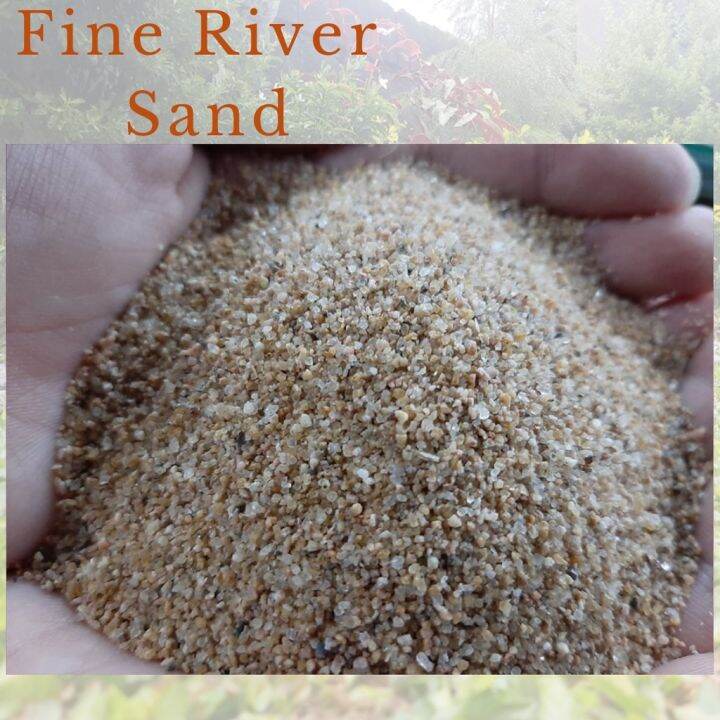 Fine River Sand For Aquarium Set Up / Terrarium 1 kilo Lazada PH