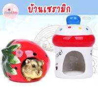 บ้านเซรามิกสัตว์ฟันแทะ บ้านหนู บ้านสัตว์เล็ก บ้านแฮมเตอร์ บ้านเย็น Small Pet