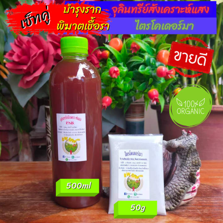 เซ็ทคู่-บำรุงราก-พิฆาตเชื้อรา-จุลินทรีย์สังเคราะห์แสง-500ml-ไตรโคเดอร์มา-50g-เร่งรากเร่งต้น-เร่งรากเร่งใบ-เร่งราก-กันเชื้อรา-ราก-โคน-เน่า