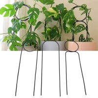 3 Pcs Plant Trellis 40 ซม. เหล็กดัดโลหะพืชปีนเขา Trellis ในร่มพืชสีเขียวกระถางดอกไม้วงเล็บ