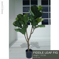 Fiddle leaf fig - Height 110-120 cm. ต้นไทรใบสัก ความสูง110-120 ซม.ต้นไม้ปลอมเกรดพรีเมี่ยมเพื่อการตกแต่ง ต้นไม้ประดิษฐ์ตกแต่งบ้าน คอนโด