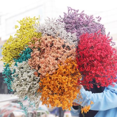 [AYIQ Flower Shop] ดอกไม้แห้งธรรมชาติถนอมความสดคริสตัลสำหรับงานแต่งงานบ้านอุปกรณ์ประดับตกแต่งจัดห้องตกแต่ง DIY