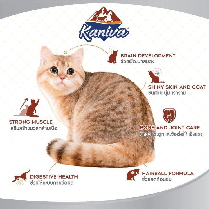 อาหารแมวคานิว่า-kaniva-1-3-1-5-kg-สำหรับเเมว-ทานยาก-ไม่เค็ม-อึไม่เหม็น-เหมาะสำหรับแมวทุกช่วงวัย-อาหารเม็ด