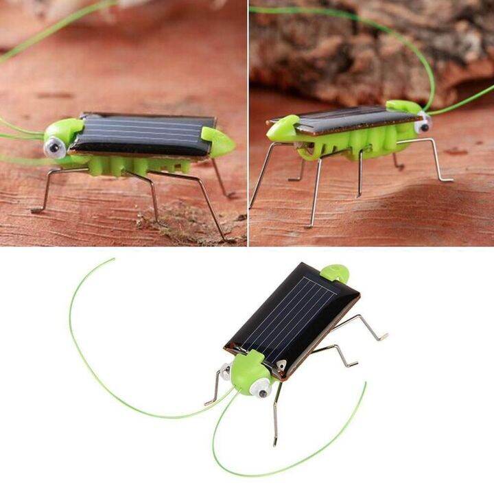 BANZU Solar Power Cricket Educational Solar Bug Learning Kids Gift