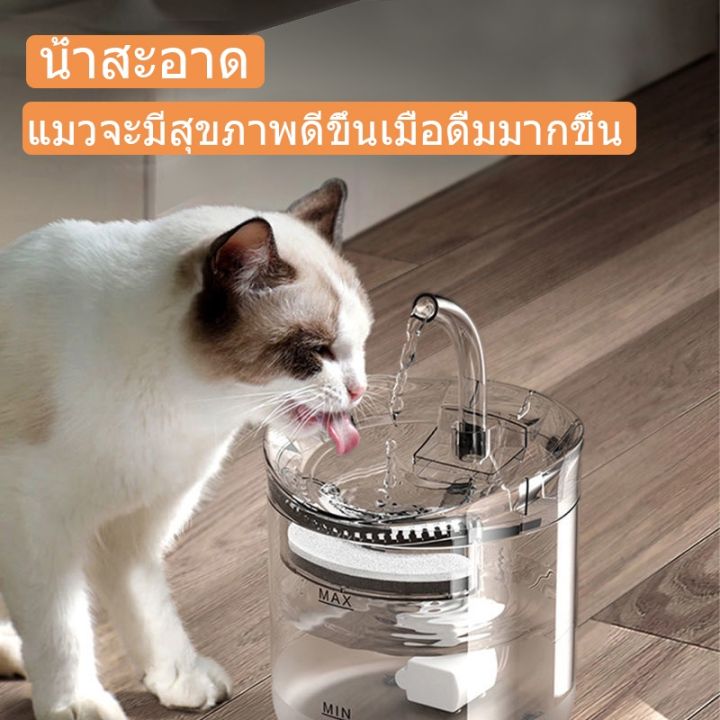 น้ำพุแมว-น้ำพุแมวใส-น้ำพุแมว-น้ำพุดื่มอัตโนมัติ-น้ำพุแมว