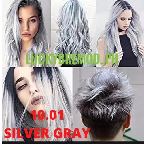 BREMOD 10.01 SILVER GRAY Hair color Set with Oxidizing Cream(100ML) |  Lazada PH