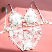 Super Hot Transparent Bra and Panty Set Japanese Cute Sexy Lolita Ultra-thin Bra Thong for Women Young Girls Underwear Lingerie