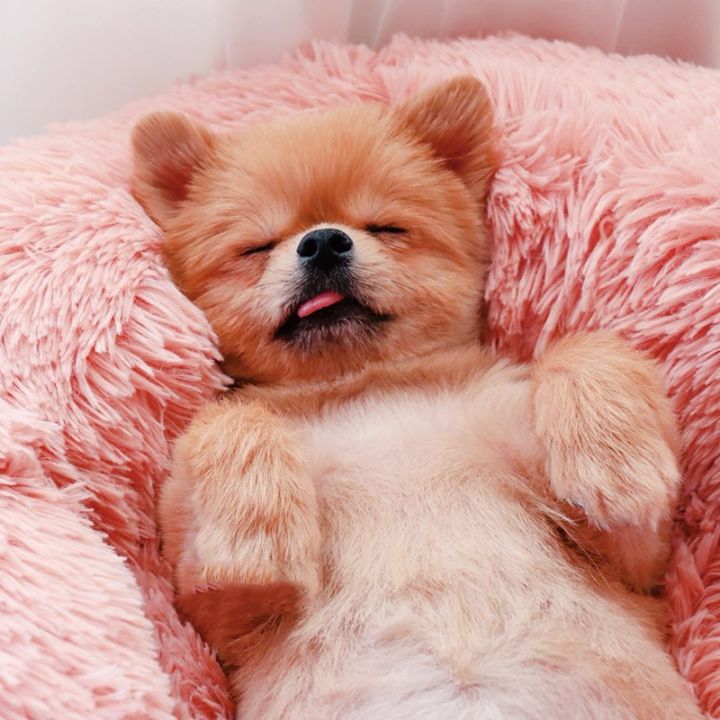 pets-baby-pretty-amp-better-dog-long-plush-dounts-beds-calming-bed-hondenmandcushion-pet-matwarm-sofa-basket-for-dog-house