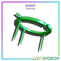 แหวนรดน้ำ Drip Ring รดน้ำง่ายสะดวก แหวนช่วยรดน้ำ ถาดช่วยรดน้ำ วงแหวนน้ำหยด