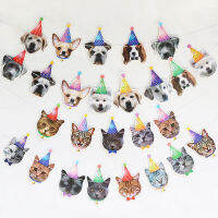 13 Flags แมวสุนัขกระดาษแบนเนอร์สัตว์เลี้ยง Happy Birthday Bunting Garland ตกแต่งการ์ตูนสัตว์สุนัข Cat Theme แบนเนอร์ปาร์ตี้วันเกิด-zlskjgmcbsb