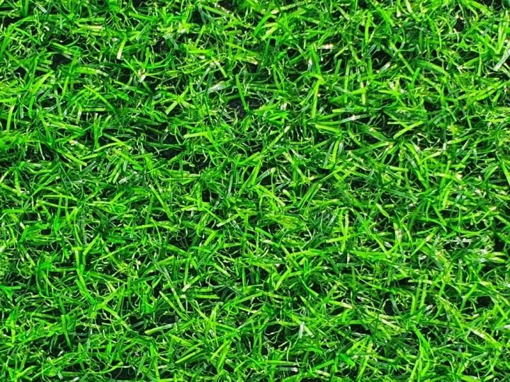 หญ้าเทียมปูพืน-ความหนาหญ้าเทียม-2ซม-หญ้าเทียมตกแต่งบ้าน-หญ้าเทียมแต่งสวน-สนามหญ้าเทียม-ขนาดหน้ากว้าง-2-เมตร-มีให้เลือกหลายขนาด