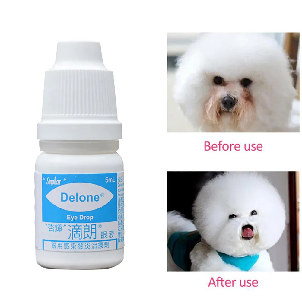 can you use normal eye drops on dogs