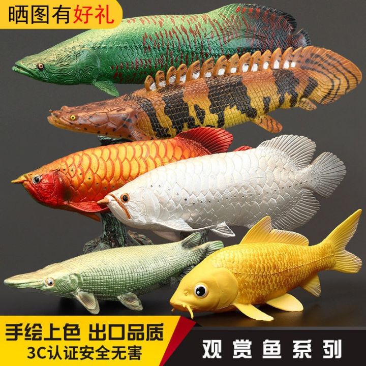 solid-simulation-animal-model-toy-watch-the-golden-arowana-giant-arapaima-fish-brocade-carp-alligator-gar-dinosaur-furnishing-articles-suit