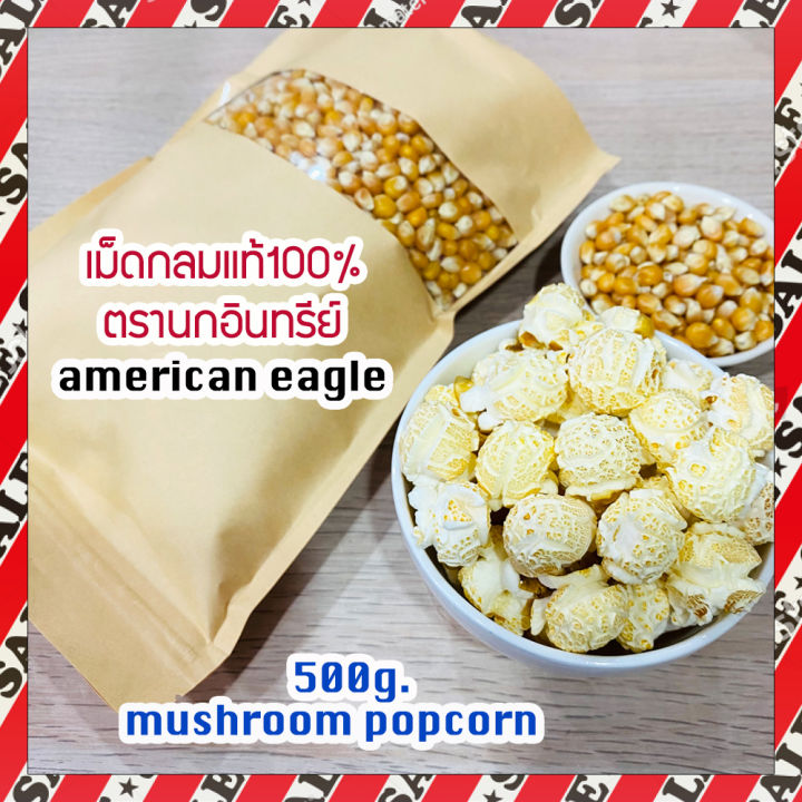 ส่งไว-เมล็ดป๊อปคอร์นพันธุ์เห็ด-ตรานกอินทรีย์-popcorn-mushroom-เมล็ดข้าวโพด-เมล็ดทำข้าวโพดคั่ว-ป๊อปคอร์น-500-กรัม
