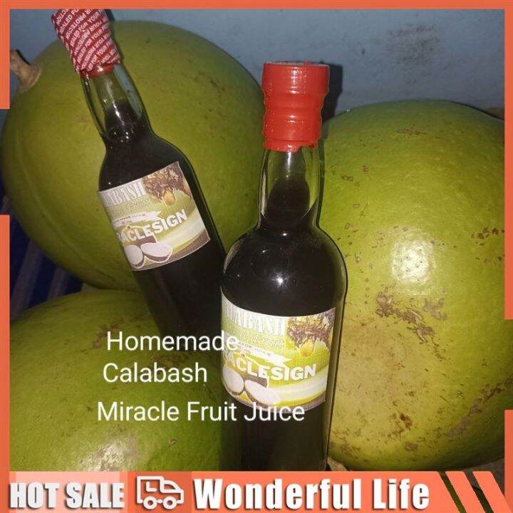 Miracle Fruit Juice or calabash Lazada PH