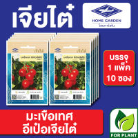 ผักซองเจียไต๋ มะเขือเทศอีเป๋อ บรรจุแพ็คล่ะ 10 ซอง ราคา 70 บาท