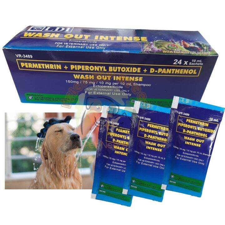 Wash Out Intense Animal Shampoo 10ml Sachet treat earmites for cocks