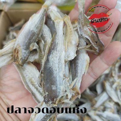 ปลาจวดอบแห้ง ปลาแห้ง ปลาตากแห้ง ปลาแคลเซียมสูง  500 กรัม ปลาแห้ง ปลาจวดตากแห้ง  ปลาจวดเค็ม อาหารทะเลแห้ง อาหารทะเลแปรรูป monpak