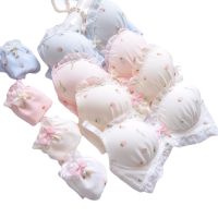 Japanese Two-Color Water-Soluble Embroidery Film Cup without Steel Ring Fresh Girl Cute Push up Underwear Set