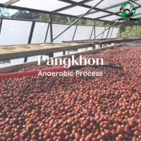 สารเมล็ดกาแฟ Pangkhon 2565 Anaerobic Process Taste: Dried banana 1000g