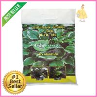 อะมิโนโปรตีนอัดเม็ดสำหรับพืช GREEN GARDEN 1 กิโลกรัมPLANT BIOSTIMULANT TABLETS FOR LEAVES GREEN GARDEN AMINO ACID 1KG **ใครยังไม่ลอง ถือว่าพลาดมาก**