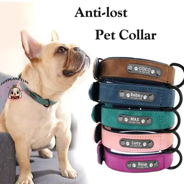 Dog name collars outlet online