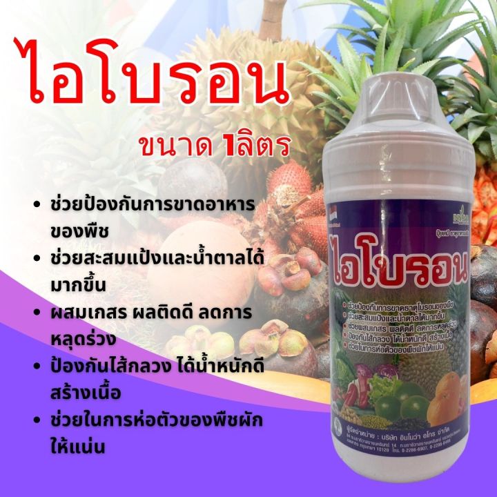 ไอโบรอน-1ลิตร-ธาตุอาหารรอง-ธาตุอาหารเสริม-ช่วยป้องกันรักษาอาการขาดธาตุโบรอนของพืช