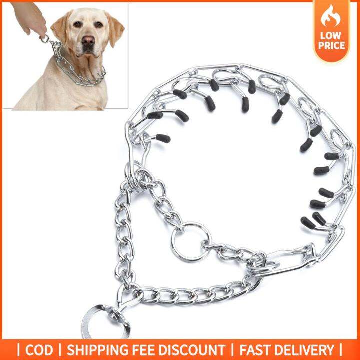 Prong collar best sale training tips