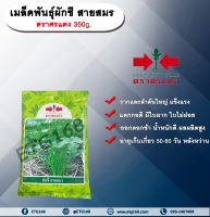 เมล็ดพันธุ์ผักชี สายสมร ตราศรแดง 350g. เมล็ดพันธุ์ เมล็ดพันธุ์ผัก เมล็ดพันธุ์พืช ผักชี ผักสวนครัว รากใหญ่ ลำต้นใหญ่ แตกกอดี ออกดอกช้า ใบไม่ฝอย ใบไม่เปื่อย น้ำหนักดี กลิ่นหอม เมล็ดพันธุ์ควบคุม ศรแดง ETG168