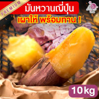 มันหวานญี่ปุ่น เบนิฮารุกะ เผาให้พร้อมทาน 10kg มันญี่ปุ่นหวาน มันหวานญี่ปุ่น มันหวาน มันหวานญี่ปุ่นเบนิฮารุกะ มันหวานญี่ปุ่น