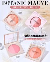 แก้มคุ๊กกี้ เนื้อชิมเมอร์sivnna HF8110 สีสด เกลี่ยง่าย