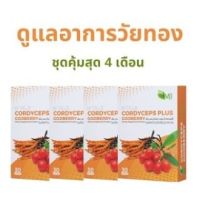 วิตามินวัยทอง สมุนไพรแก้อาการวัยทอง นอนไม่หลับ อ่อนเพลีย M TALE Cordyceps Plus Gojiberry (30 แคปซูล x 4 กล่อง)