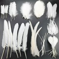 20pcs/Lot Pheasant Feathers for Crafts Turkey Handicraft Wedding Accessories Decoration