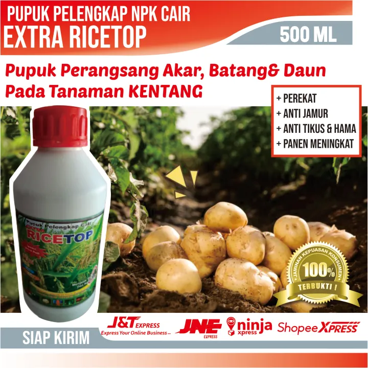 PUPUK NPK CAIR EXTRA GREEN RICE JADI TOP 500 ML PUPUK PEMBESAR BUAH ...