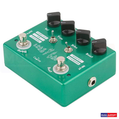 Caline CP-20 Crazy Cacti Overdrive