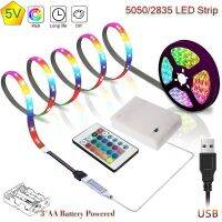 LED Strip Lights 3AA Battery 5V USB 5050SMD Flexible RGB Led Light For Room Vanity Computer Wine Cabinet Wardrobe Motorhome Ceiling Lights