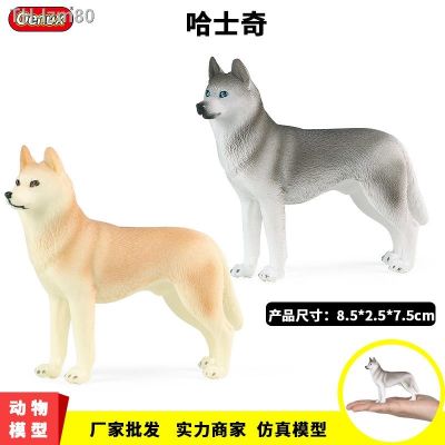 🎁 ของขวัญ Simulation teaching AIDS animal model husky dog shiba inu golden retriever toys furnishing articles