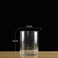 European Style Transparent Clear Tabletop tall Glass Vase Bottle Terrarium Hydroponic Container Pot Flower Home Wedding Decor