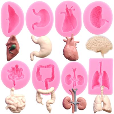 【YF】 Halloween Heart Liver Brain Silicone Molds Human Organs Fondant Mold Cake Decorating Tools Candy Resin Clay Chocolate Moulds