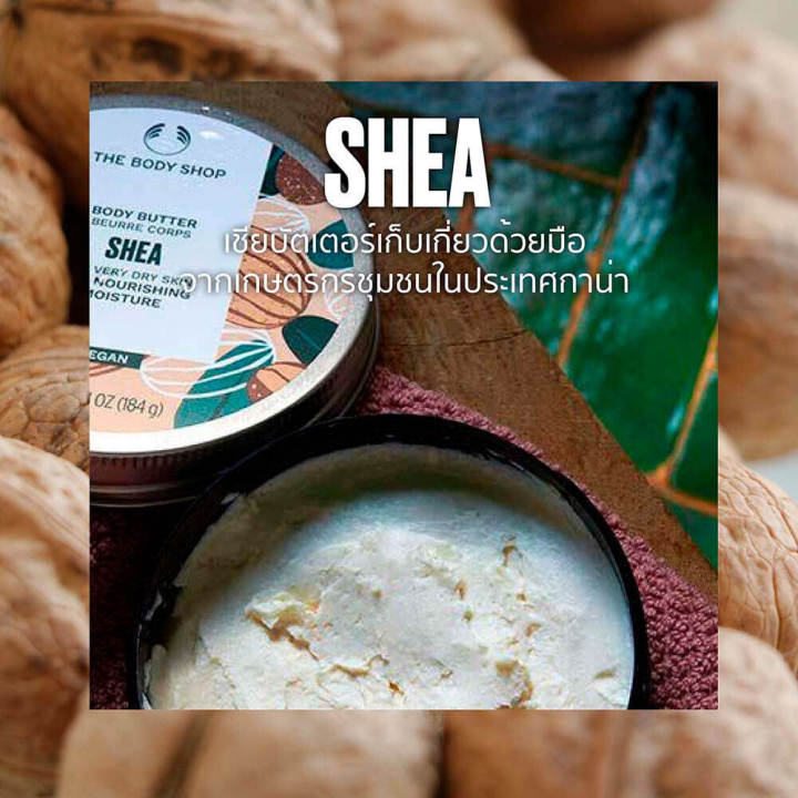 the-body-shop-body-butter-shea-200ml-เดอะบอดี้-ช็อป-เชีย-บอดี้-บัตเตอร์-บำรุงผิวกาย-ครีม-ออร์แกนิค